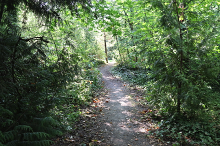 Looking uphill at start of trail. 15% grade.